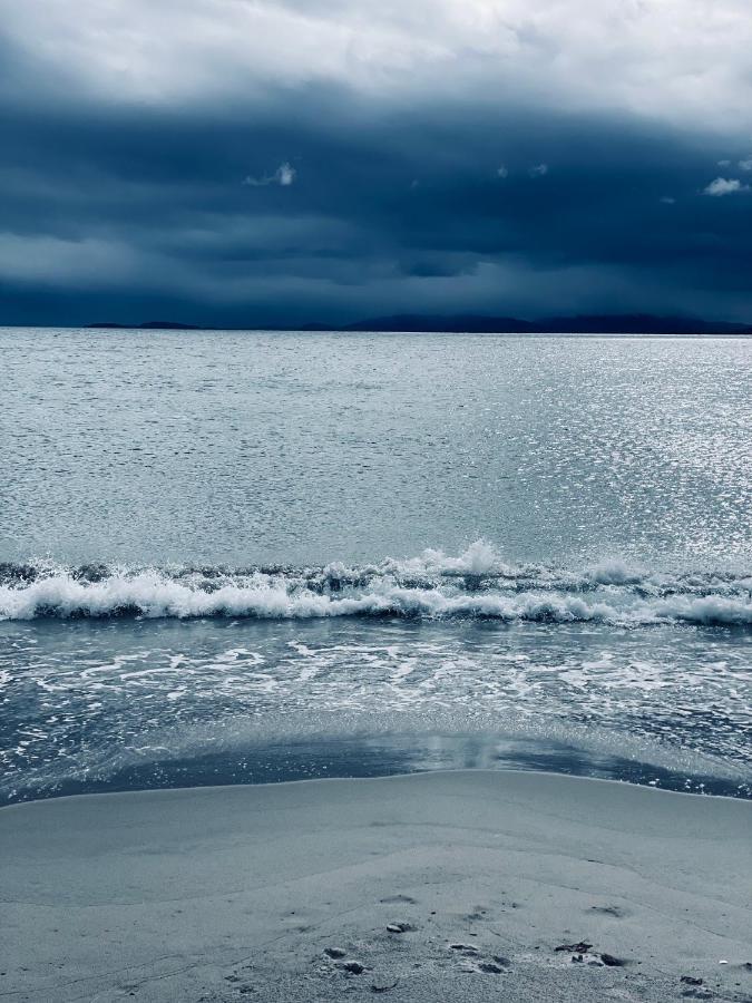 Vadsø Ekkeroy Lodge - Arctic Living מראה חיצוני תמונה